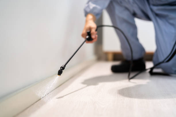 Licensed Termite Control service in Huron County County, MI - Nex Pest Control