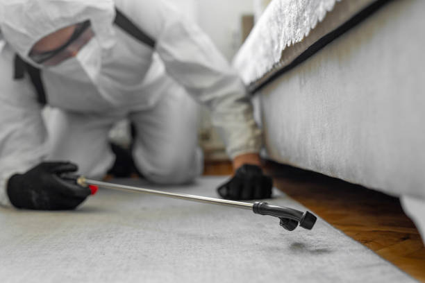 Professional Termite Control technician working in Huron County County, MI